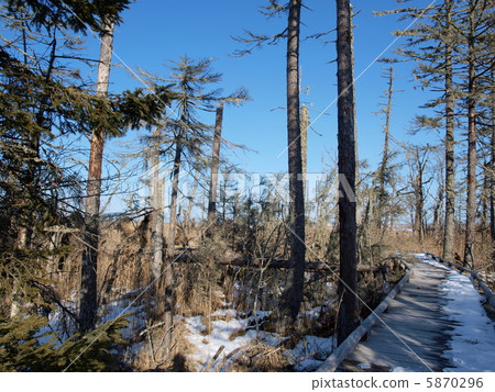 Promenade of spring spring country Promenade of spring spring country 5870296