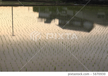 Private house in the paddy fields Private house in the paddy fields 5870930