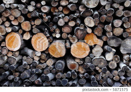 Firewood Firewood 5871575