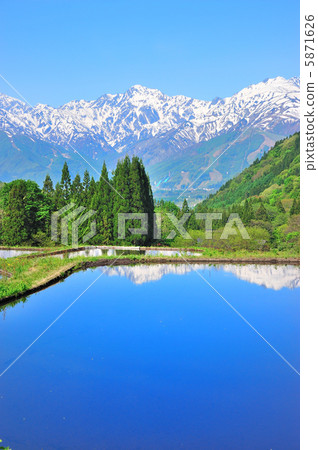 阿爾卑斯山和水稻梯田 阿爾卑斯山和水稻梯田 5871626