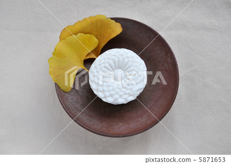 Ganoderma and ginkgo biloba 5871653