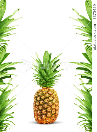 Ripe pineapple Ripe pineapple 5875429