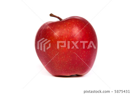 A shiny red apple isolated on white A shiny red apple isolated on white 5875431