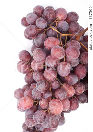 Grape Grape 5875694