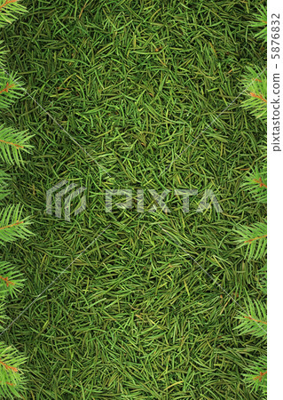 Christmas spruce  texture 5876832
