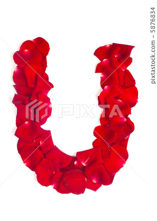Letter U made from red petals rose on white Letter U made from red petals rose on white 5876834