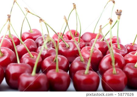Red cherries 5877026