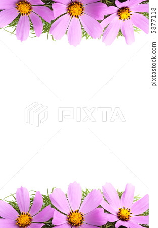 Flowers Flowers 5877118