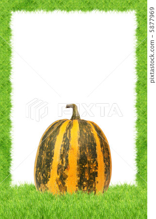 Yellow pumpkin Yellow pumpkin 5877969