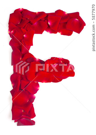 Letter F made from red petals rose on white Letter F made from red petals rose on white 5877970