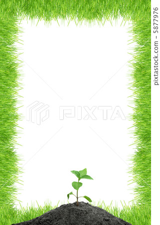 Green sprout Green sprout 5877976