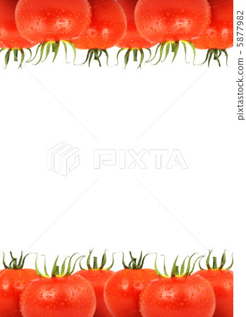 Tomatos Tomatos 5877982