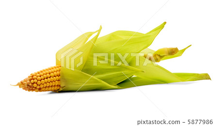 Corn Corn 5877986