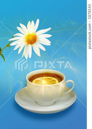 Still-life with lemon-tea and white flowers Still-life with lemon-tea and white flowers 5878543