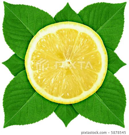Single cross section of lemon with green leaf Single cross section of lemon with green leaf 5878545
