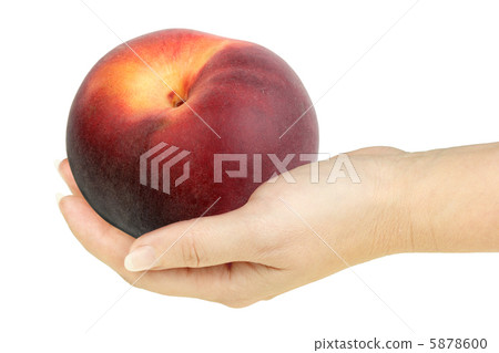 Single peach in a hand of woman Single peach in a hand of woman 5878600
