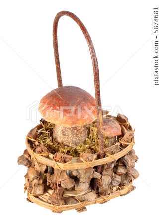 Basket with two brown mushrooms 5878681