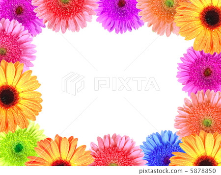 Frame with flowers 5878850