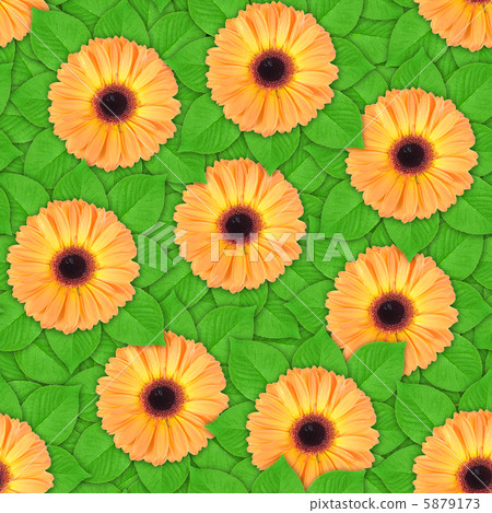 Seamless pattern of orange flowers and leaf 5879173