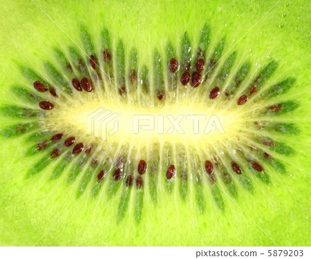 Background of the ripe kiwi slice 5879203