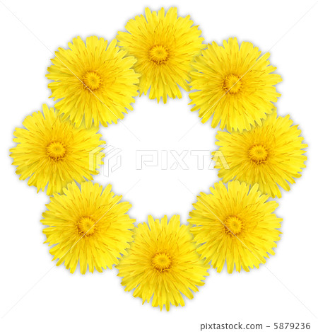 Frame as ring of yellow flowers 5879236
