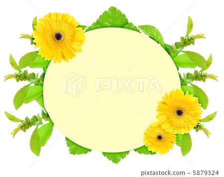 Frame with yellow flowers Frame with yellow flowers 5879324