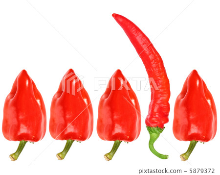 Group of red fresh pepper 5879372
