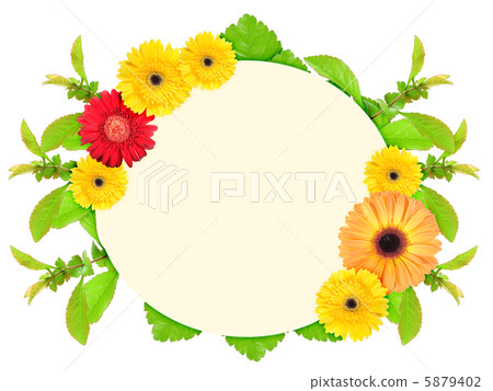 Frame with motley flowers 5879402