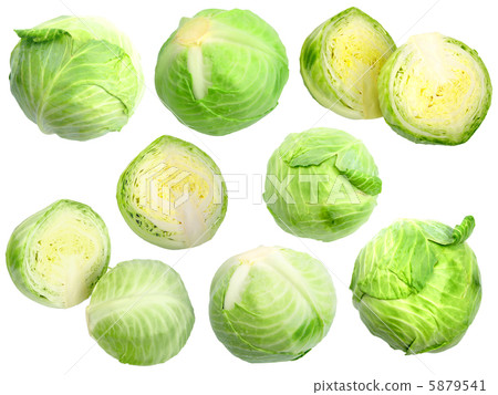 Set of fresh green cabbage 5879541