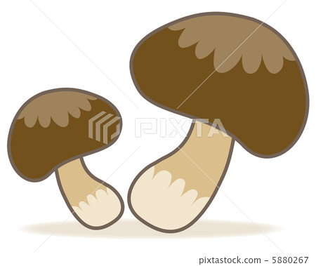 mushroom  5880267