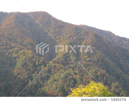 Toga村莊秋葉 5880378