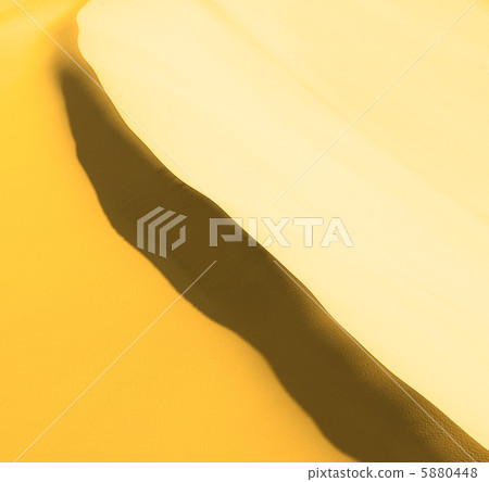 highly detailed texture of sand dunes 5880448