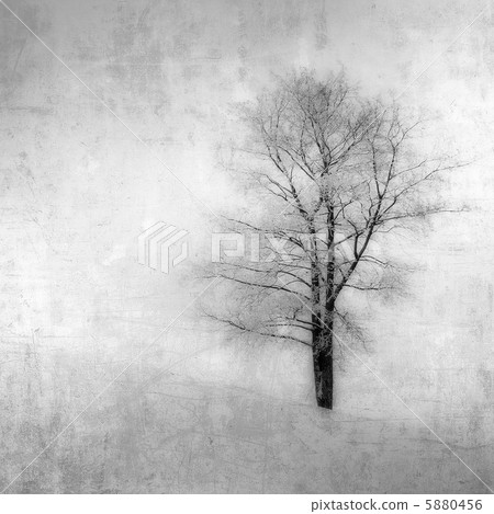 vintage image of a tree over grunge background vintage image of a tree over grunge background 5880456