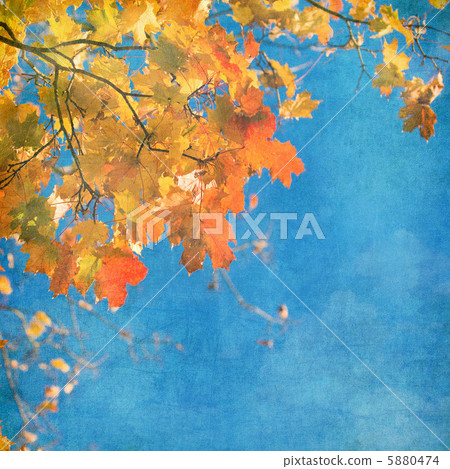 grunge background with autumn leaves grunge background with autumn leaves 5880474
