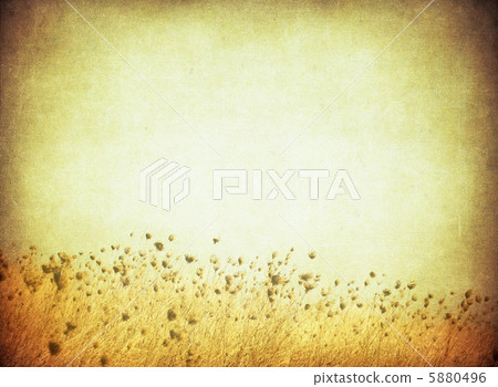 grunge image of a field grunge image of a field 5880496