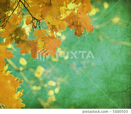 grunge background with autumn leaves grunge background with autumn leaves 5880503