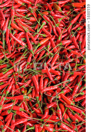 background of red chillies background of red chillies 5880559