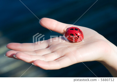 nutmeg on the hand 5880712