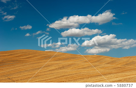 typical tuscan landscape typical tuscan landscape 5880737