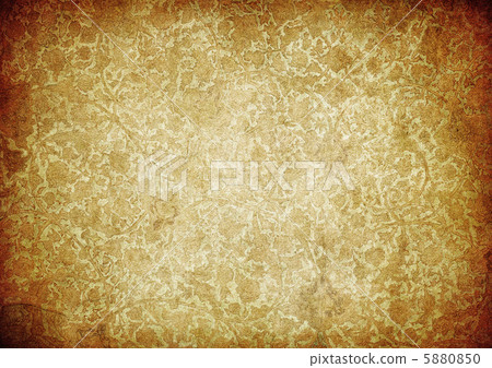 grunge floral background with space for text or image grunge floral background with space for text or image 5880850