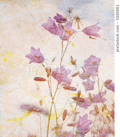 grunge floral background with space for text or image grunge floral background with space for text or image 5880861