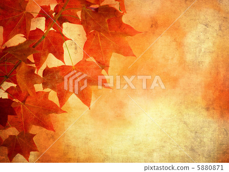 grunge background with autumn leaves 5880871