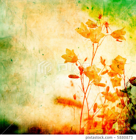 grunge floral background with space for text or image 5880873