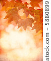 grunge background with autumn leaves 5880899