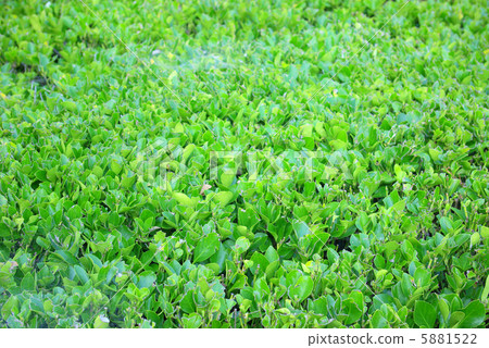 Masaki的對沖 5881522