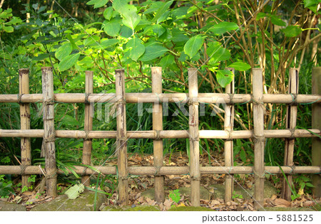 竹籬笆 5881525