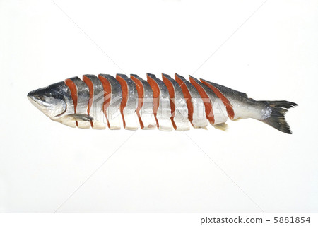 三文魚 三文魚 5881854