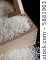 Rice 5881963