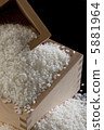 Rice 5881964