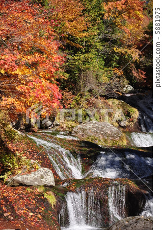 豪豬隱藏的瀑布 5881975